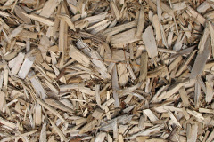 biomass boilers Little Torboll